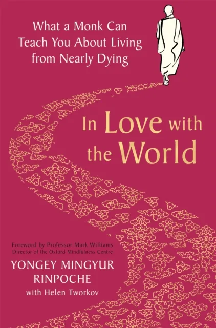 Pan Macmillan In Love With The World : What A Monk Can Teach You About Living From Nearly Dying