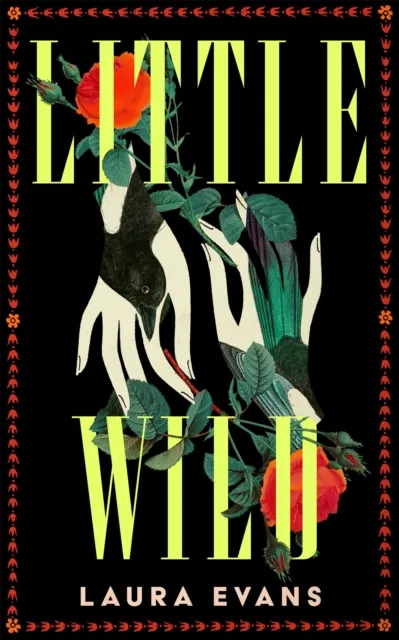 Pan Macmillan Little Wild