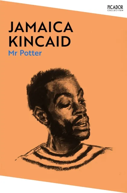 Pan Macmillan Mr Potter