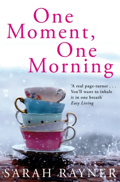Pan Macmillan One Moment, One Morning