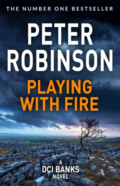 Pan Macmillan Playing With Fire
