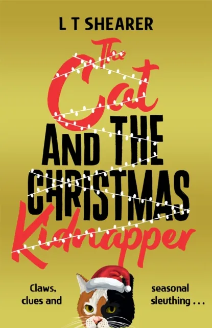 Pan Macmillan The Cat And The Christmas Kidnapper