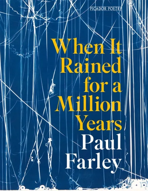 Paul Farley When It Rained for a Million Years Paperback Book Multicolor