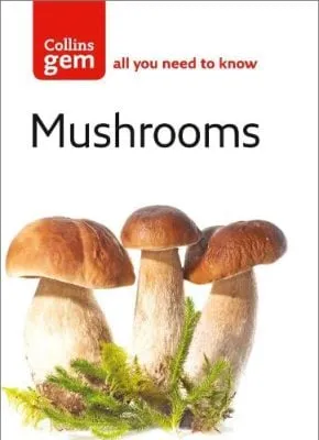 Patrick Harding Mushrooms