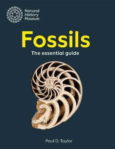 Paul D. Taylor Fossils