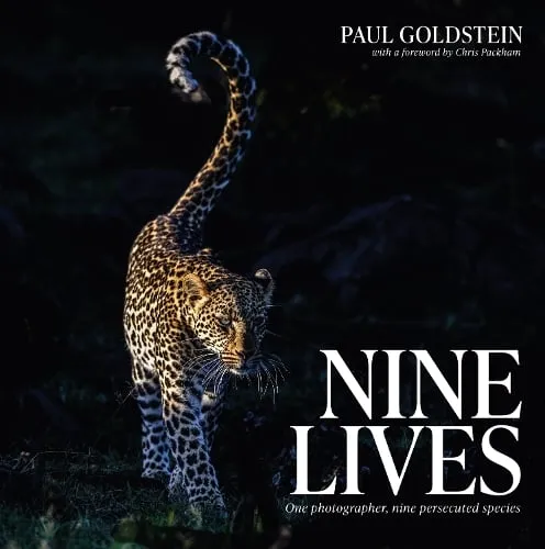 Paul Goldstein Nine Lives