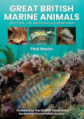 Paul Naylor Great British Marine Animals