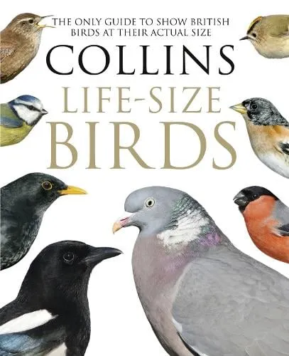 Paul Sterry Collins Life-Size Birds