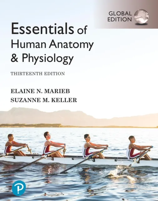 Pearson Education Limited Essentials Of Human Anatomy & Physiology, Global Edition