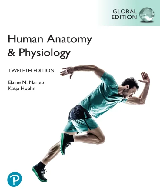 Pearson Education Limited Human Anatomy & Physiology, Global Edition