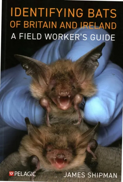 Pelagic Publishing Identifying Bats Of Britain And Ireland : A Field Worker’s Guide