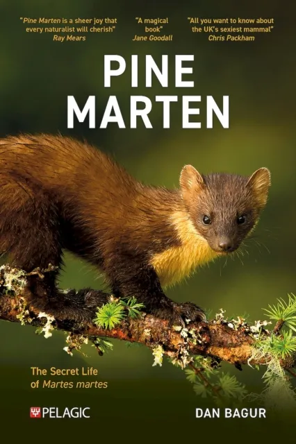 Pelagic Publishing Pine Marten : The Secret Life Of Martes Martes