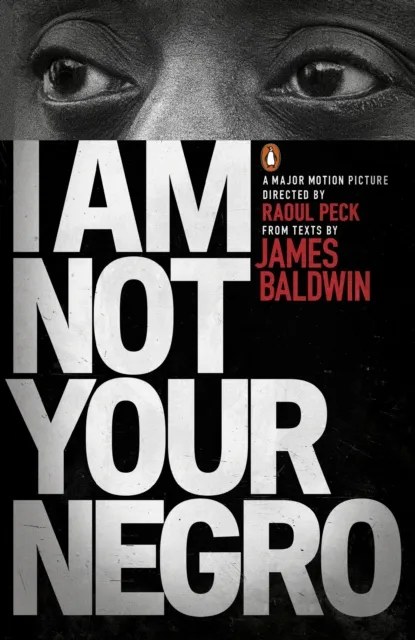 Penguin Books Ltd I Am Not Your Negro