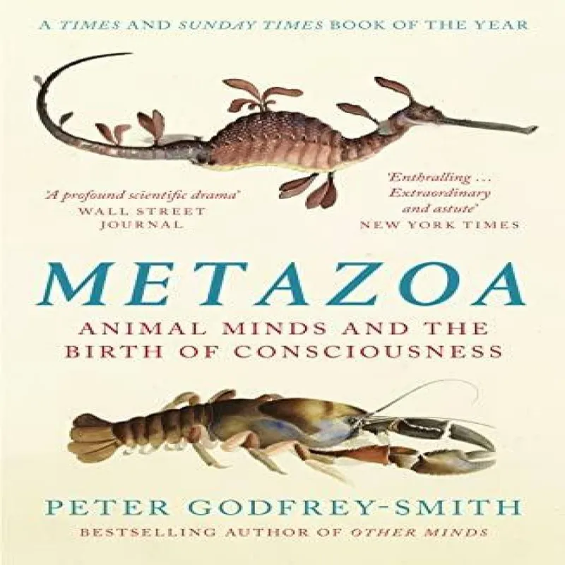 Peter Godfrey-Smith Metazoa PB : Animal Minds & the Birth of Consciousness Paperback Multicolor