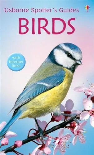 Peter Holden Birds