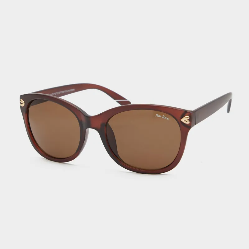 Peter Storm St Ives Sunglasses Brown
