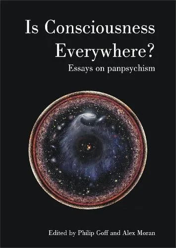 Philip Goff Is Consciousness Everywhere?
