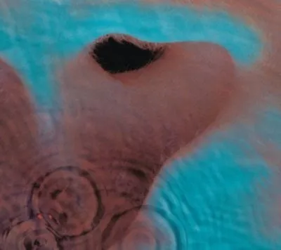 Pink Floyd Meddle