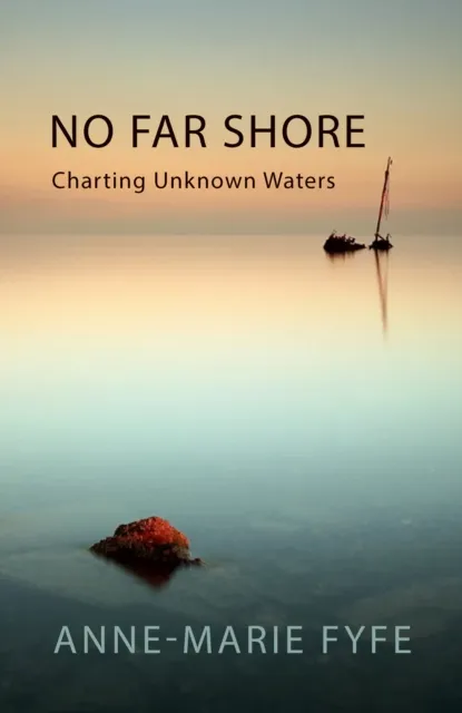 Poetry Wales Press No Far Shore : Charting Unknown Waters