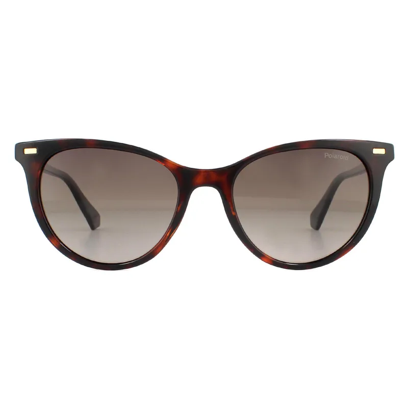 Polaroid Cat Eye Womens Havana Brown Gradient Polarized Sunglasses - One Size