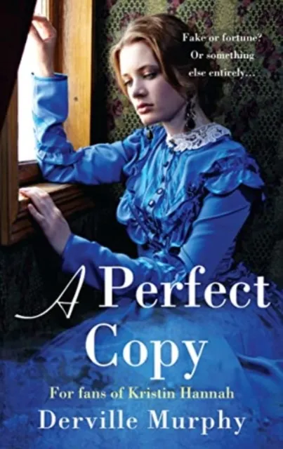 Derville Murphy Perfect Copy Paperback Book Multicolor