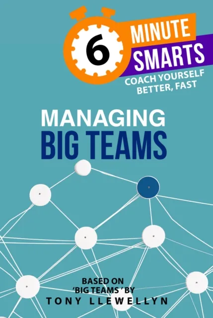 Practical Inspiration Publishing Managing Big Teams