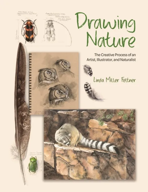 Princeton University Press Drawing Nature : The Creative Process Of An Artist, Illustrator, And Naturalist