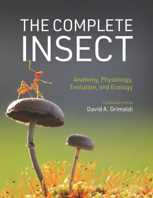 Princeton University Press The Complete Insect : Anatomy, Physiology, Evolution, And Ecology