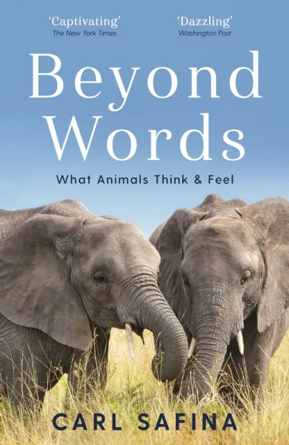 Profile Books Ltd Beyond Words : What Animals Think And Feel
