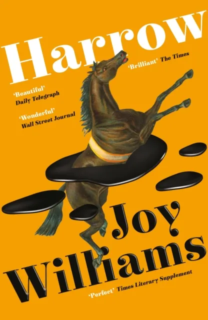 Joy Williams Harrow
