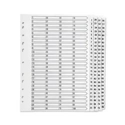 Q-Connect 1-100 Index Multi-Punched Reinforced Board Clear - KF97059