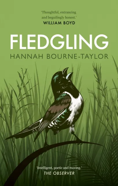 Quarto Publishing Plc Fledgling