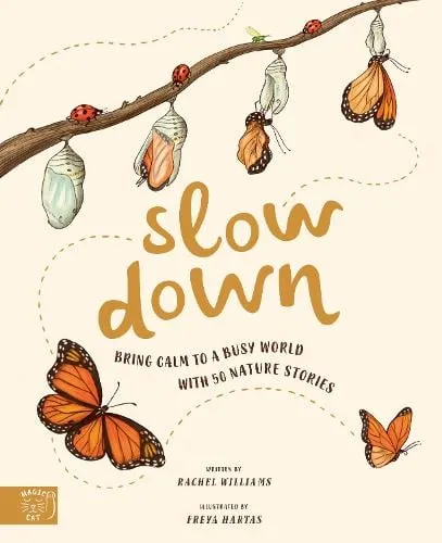 Rachel Williams Slow Down