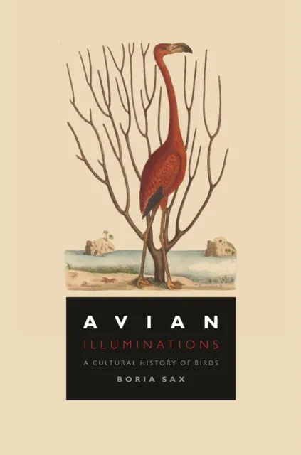 Reaktion Books Avian Illuminations : A Cultural History Of Birds