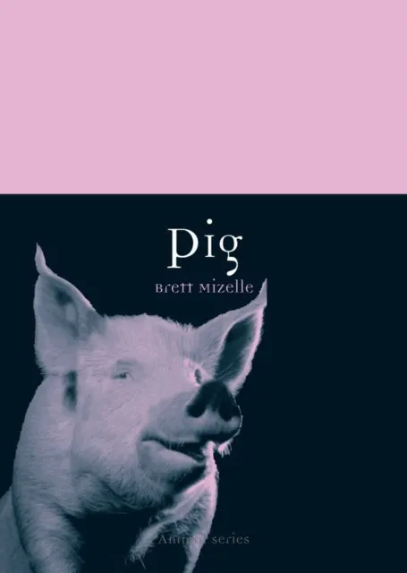Reaktion Books Pig