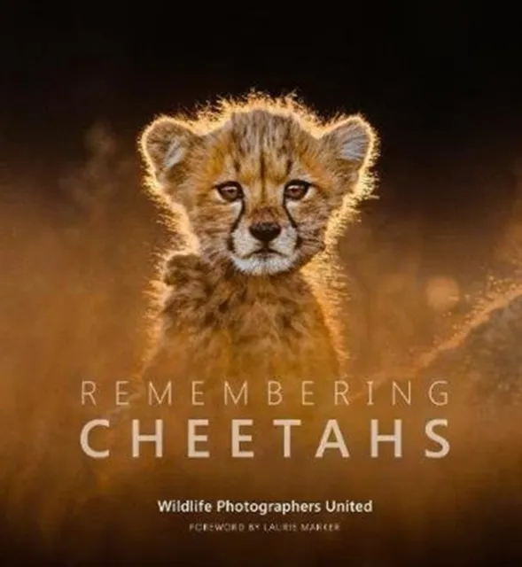 Remembering Wildlife Remembering Cheetahs