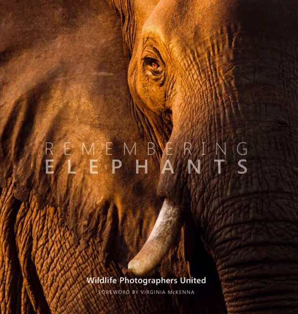 Remembering Wildlife Remembering Elephants