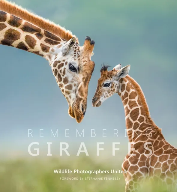Remembering Wildlife Remembering Giraffes