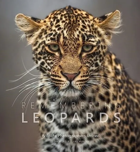 Remembering Wildlife Remembering Leopards