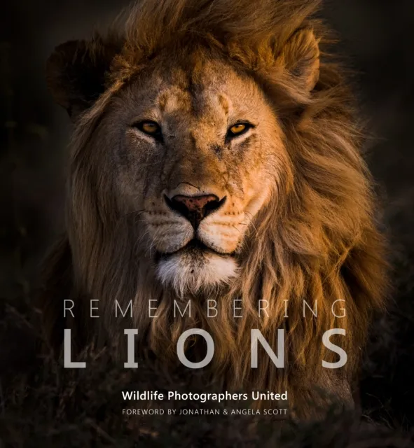 Remembering Wildlife Remembering Lions