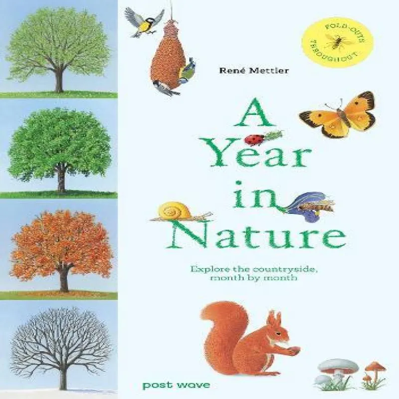 Rene Mettler Year in Nature Hardback Book Multicolor