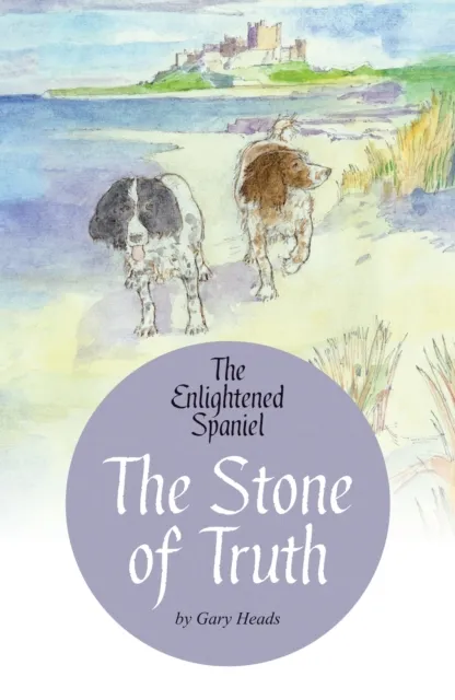 Right Nuisance Publishing Ltd The Stone Of Truth