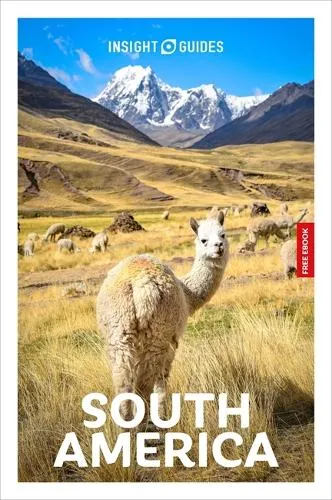 Robert Savage Insight Guides South America: Travel Guide with eBook