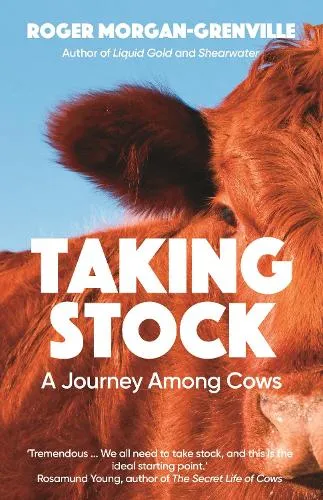 Roger Morgan-Grenville Taking Stock