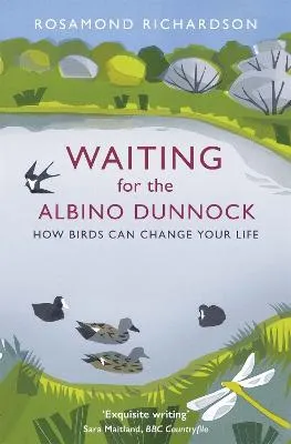 Rosamond Richardson Waiting for the Albino Dunnock