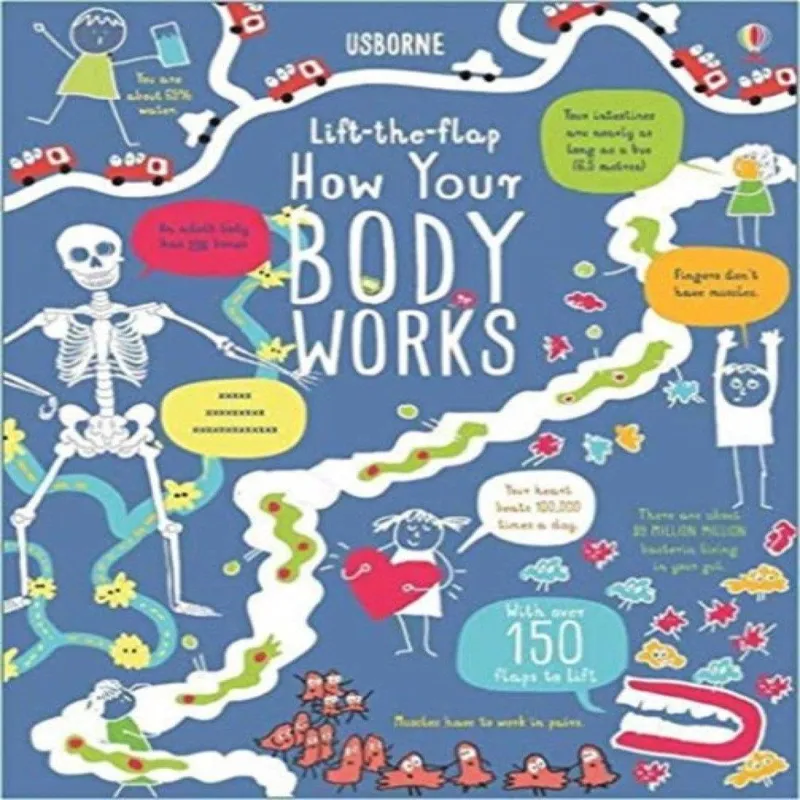 Rosie Dickins Lift-the-Flap How Your Body Works