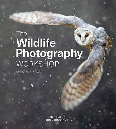 Ross Hoddinott Wildlife Photography Workshop, The