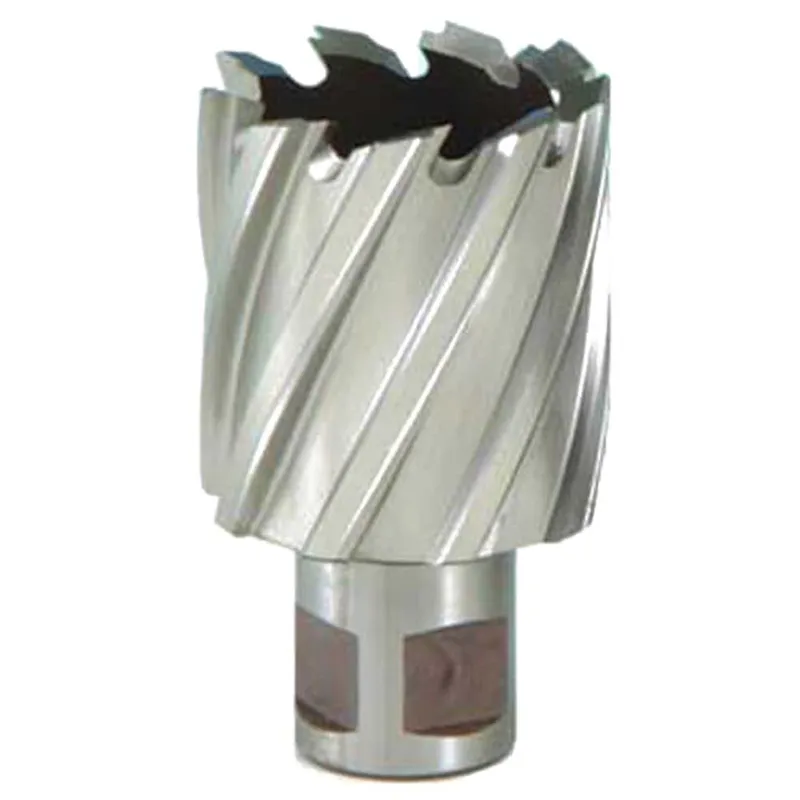 Rotabroach Raptor X Mag Drill Hole Cutter 22mm 25mm