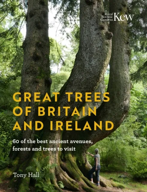 Royal Botanic Gardens Great Trees Of Britain And Ireland : 60 Of The Ancient Avenues, Forests And Trees To Visit