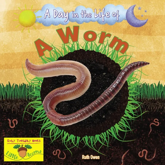 Ruby Tuesday Books Ltd A Worm